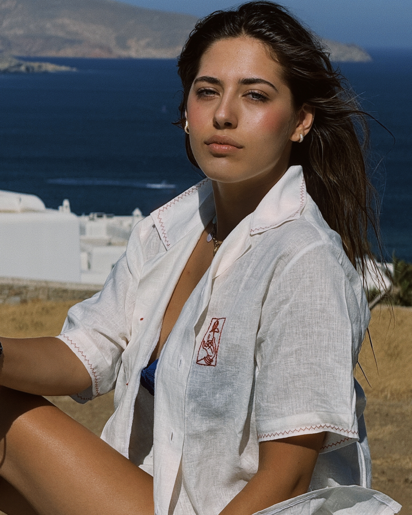 The Lover
